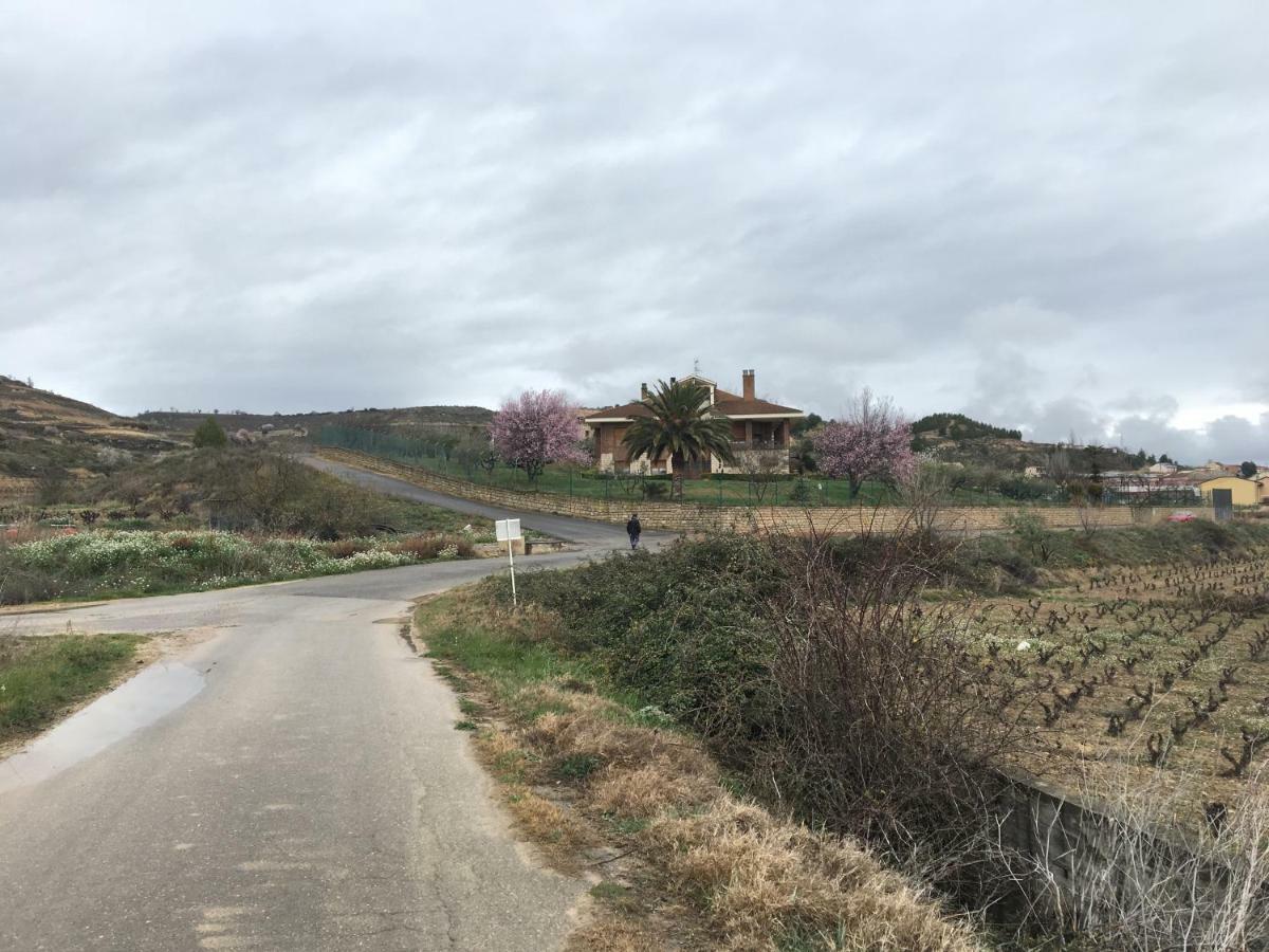 Casa Pichon Etxea Villa La puebla de Labarca Ngoại thất bức ảnh